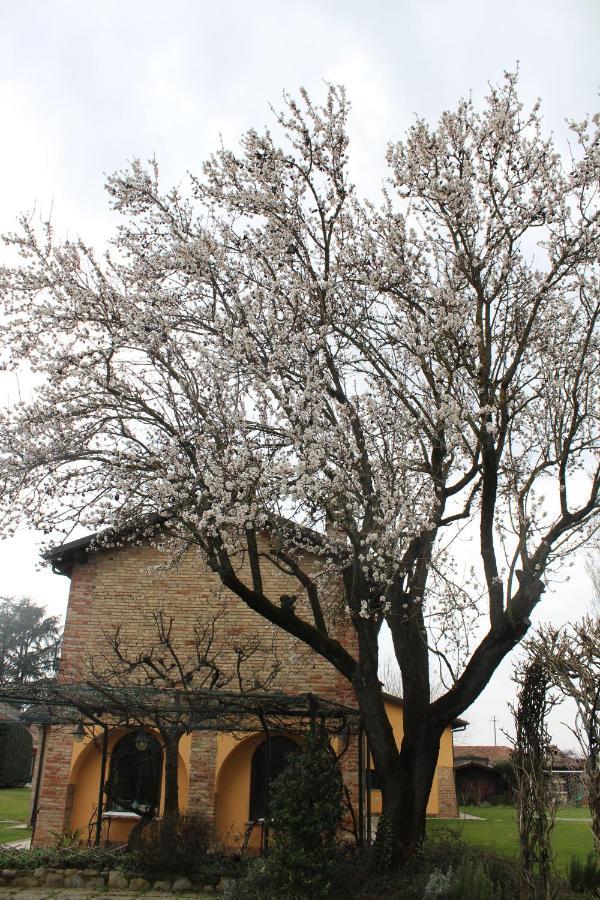 La Trunera Guest House Alessandria Exterior foto